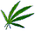:weed-4: